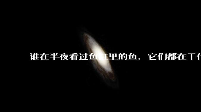 谁在半夜看过鱼缸里的鱼，它们都在干什么？