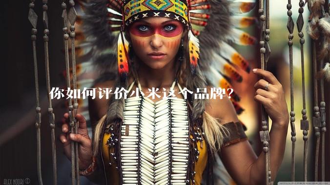 你如何评价小米这个品牌？