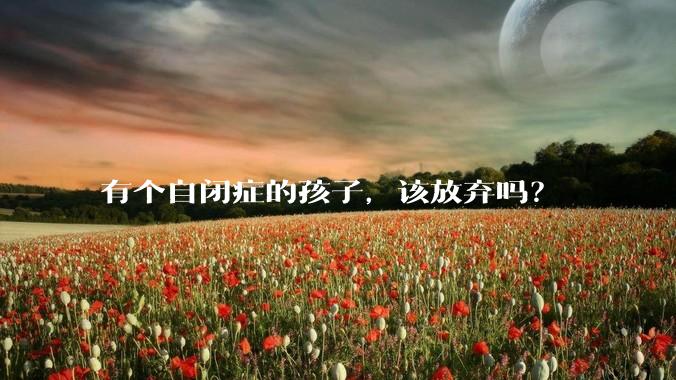 有个自闭症的孩子，该放弃吗？