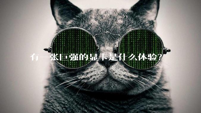 有一张巨强的显卡是什么体验？