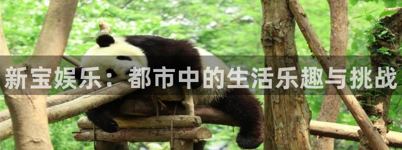 华润娱乐注册链接